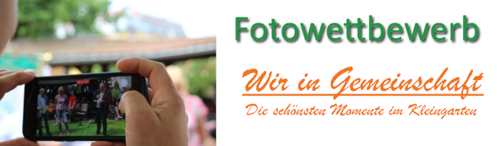 Fotowettbewerb: