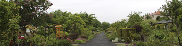 Stadtverband Dresdner Gartenfreunde Stadtverband Dresdner Gartenfreunde