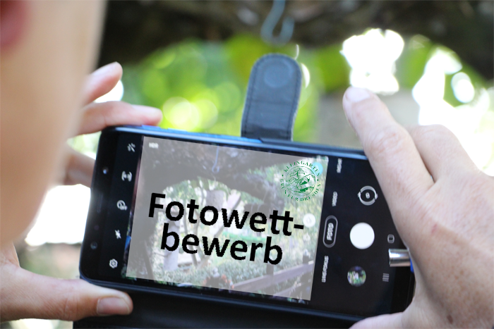 Fotowettbewerb Stadtverband Dresdner Gartenfreunde