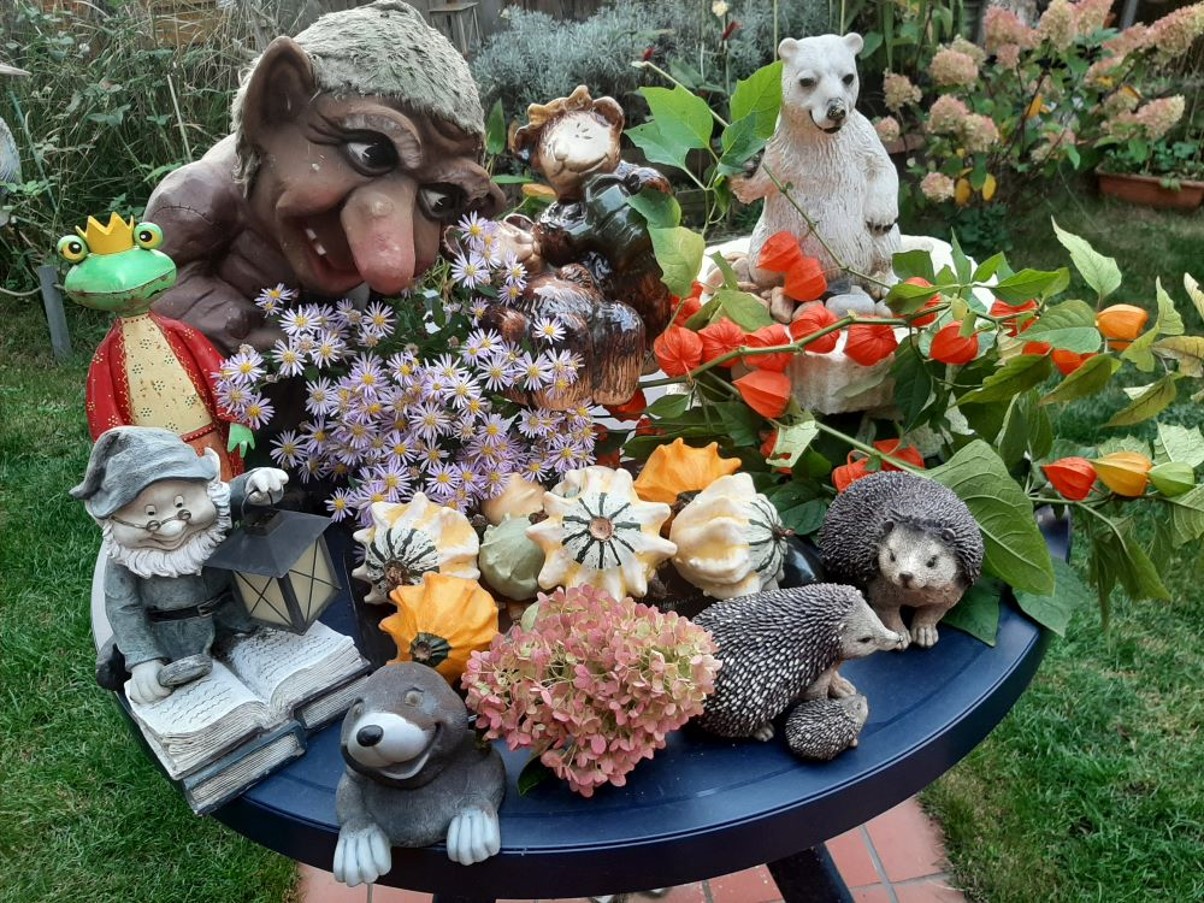 Fotowettbewerb Stadtverband Dresdner Gartenfreunde
