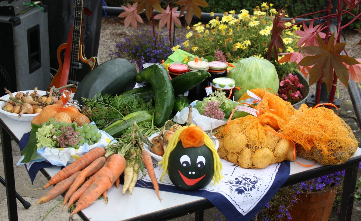Fotowettbewerb Stadtverband Dresdner Gartenfreunde