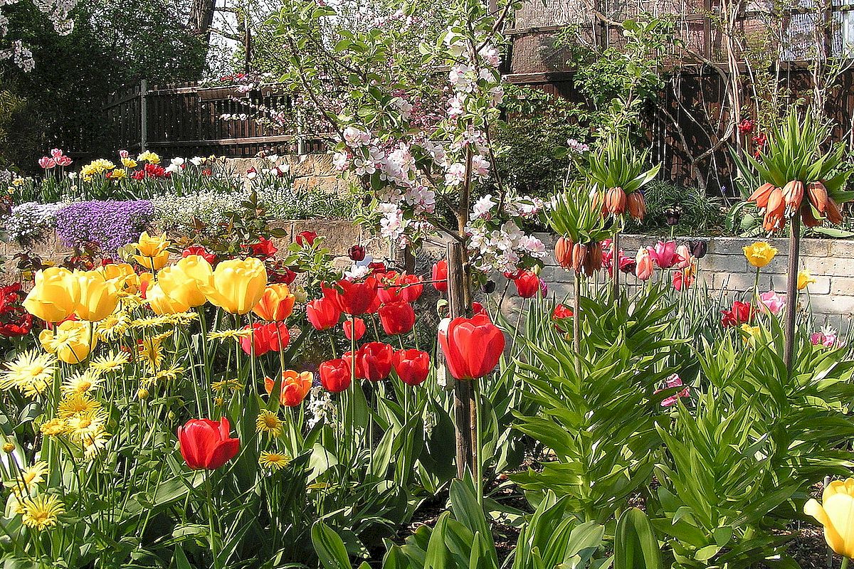 Fotowettbewerb Stadtverband Dresdner Gartenfreunde
