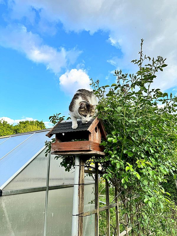KGV Zur neuen Hoffnung, Kleingarten, Frühling, Winterschlaf, Dresden