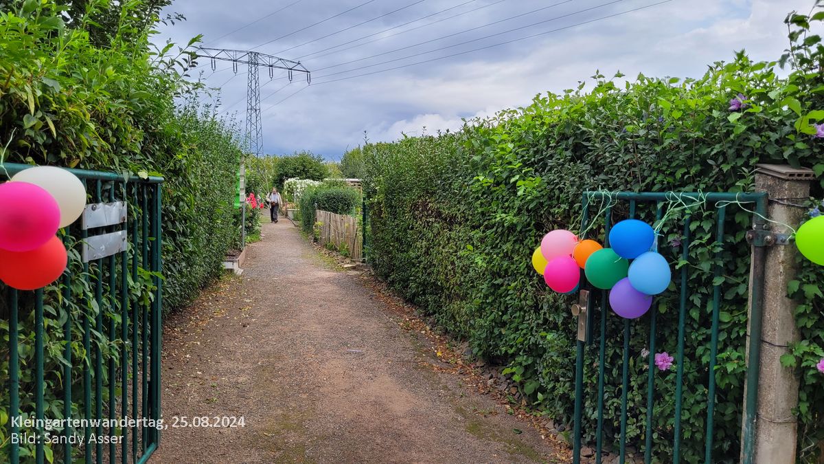 Dresdner Kleingartenwandertag 2024