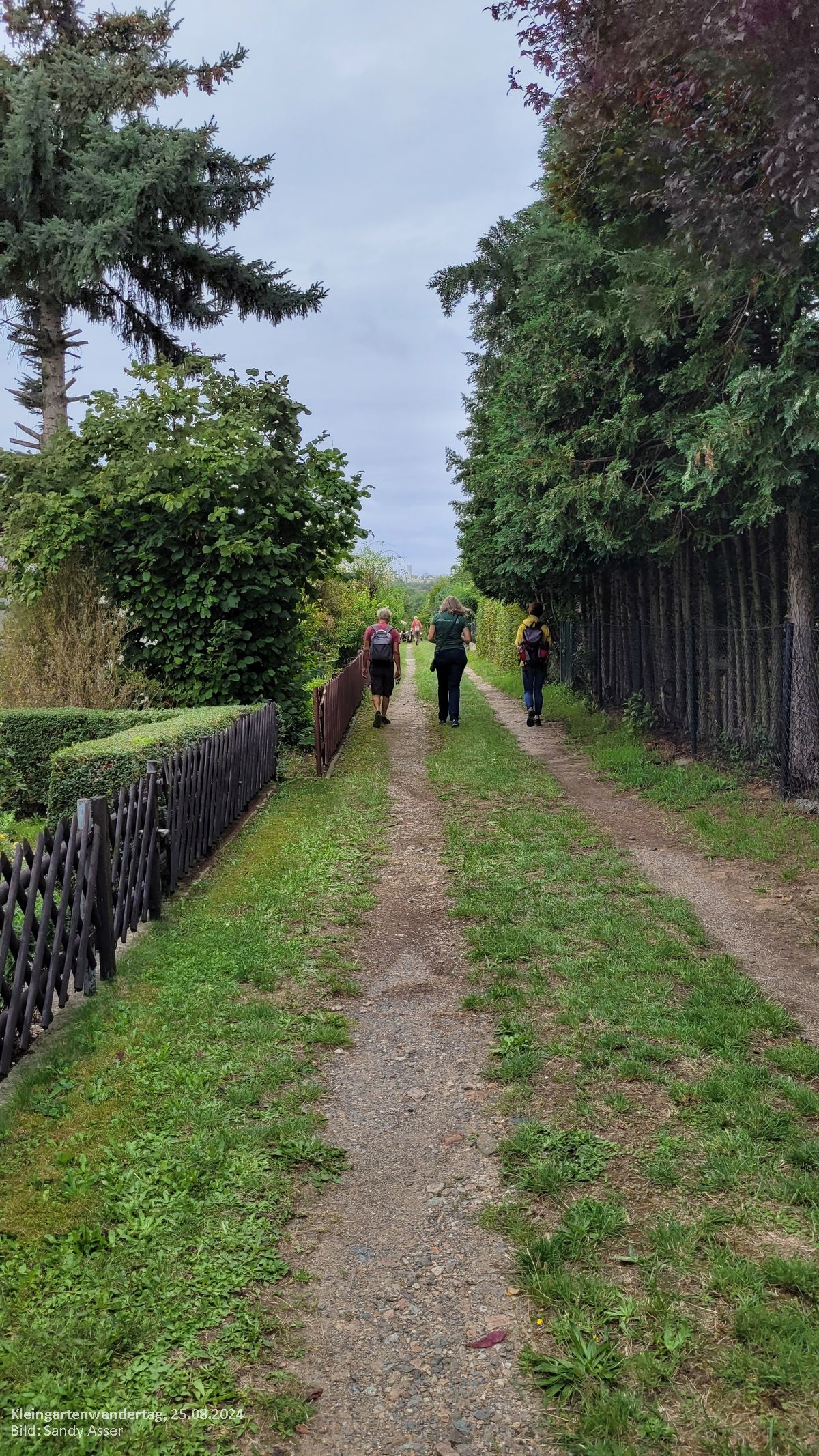 Dresdner Kleingartenwandertag 2024