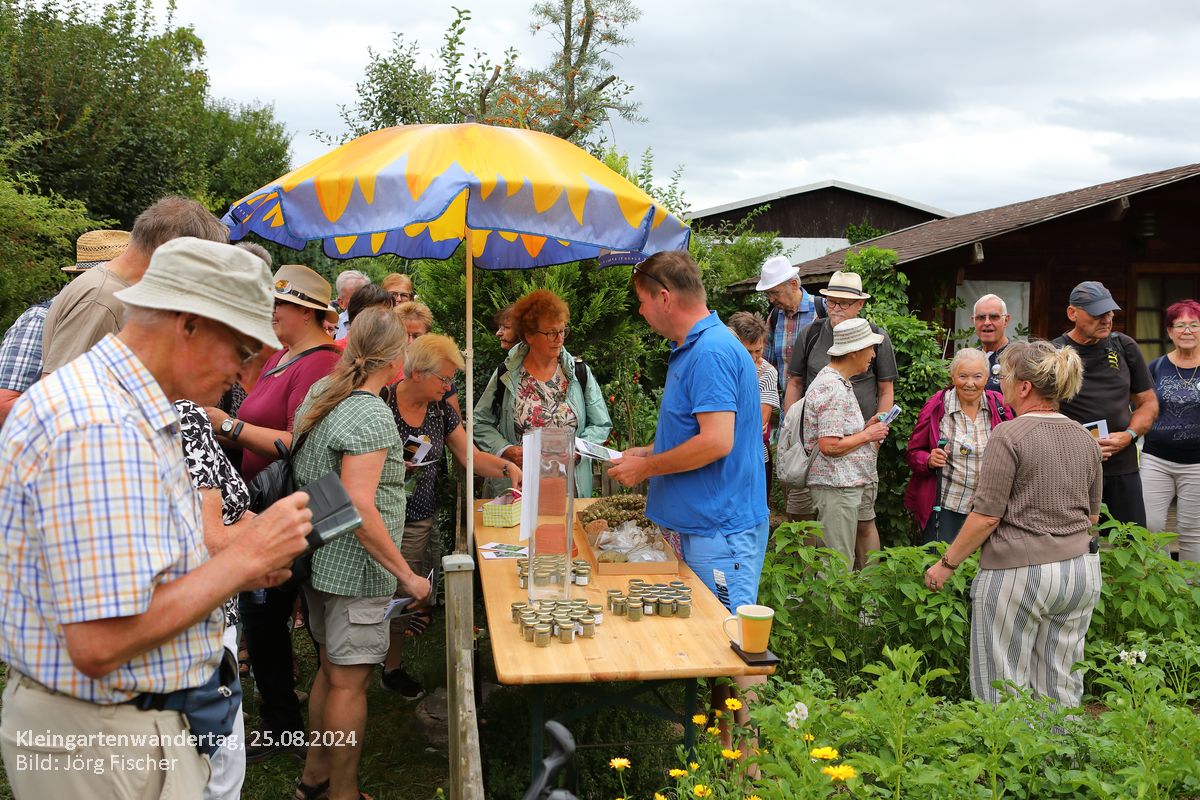 Dresdner Kleingartenwandertag 2024