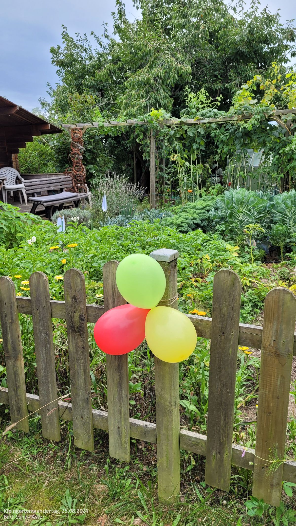 Dresdner Kleingartenwandertag 2024