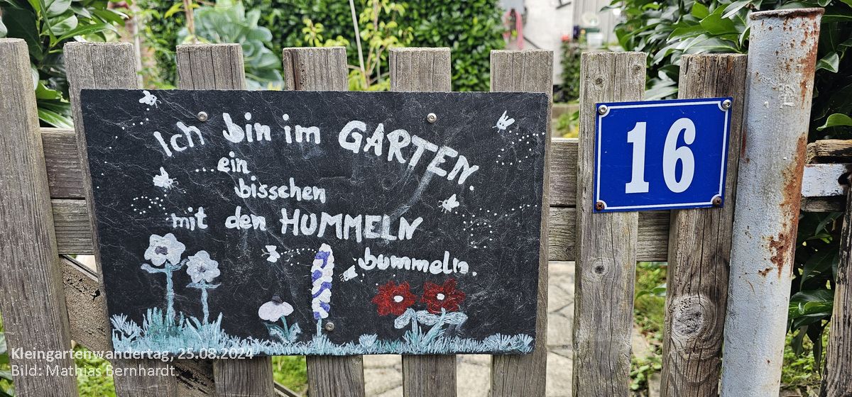 Dresdner Kleingartenwandertag 2024