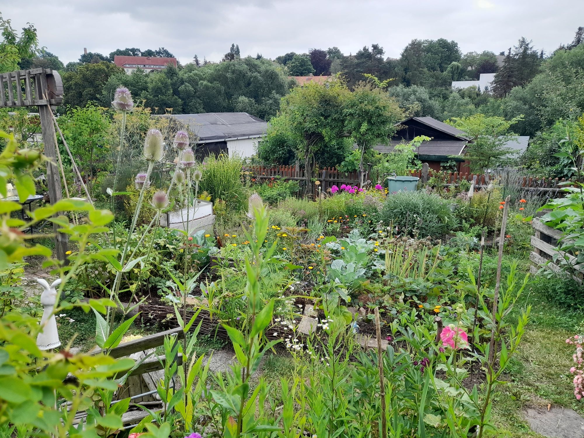 Preisträgergarten im KGV Mockritz